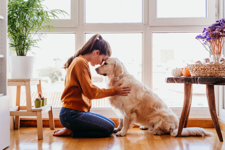 Jak zbudować świadomą relację z psem?