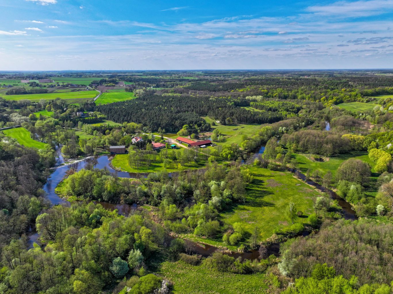 festiwal wibracje radotki