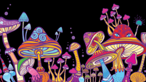 Jak psychodeliki wpływają na psychikę i osobowość