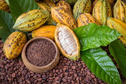 7 właściwości kakao, które czynią je napojem bogów