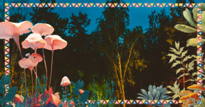 Aperitif na dziko – spotkajmy się w maju!